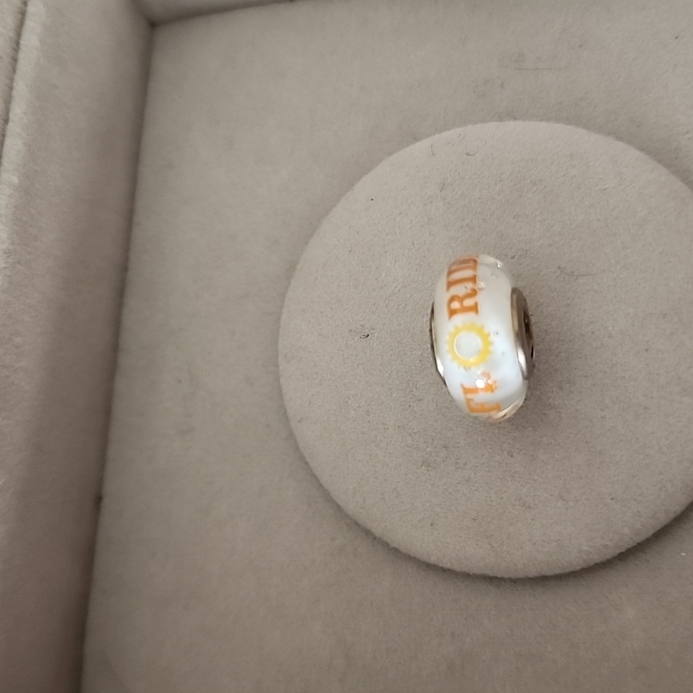Pandora Florida murano glass charm